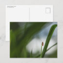 Suche nach kafe postkarten Naturfotografie