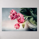 Suche nach tulpen poster Frühling
