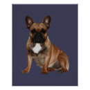 Suche nach französische bulldoggen poster Frenchie