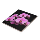 Suche nach rosa orchideen fliesen Blüten