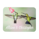 Suche nach kolibri magnete Natur