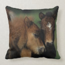 Suche nach miniatur kissen Pferd