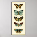Suche nach butterfly poster Tiere