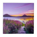 Suche nach lavendelfelder fliesen Landschaft