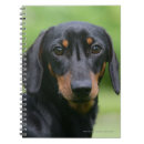 Suche nach haarig kleine notizbücher Schwarzes und tan