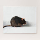 Suche nach niedliche ratte puzzle Weiß