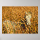 Suche nach reeder poster Animal
