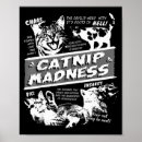 Suche nach süße katze poster Lustig