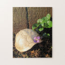 Suche nach schildkröten puzzle Reptilien