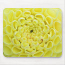 Suche nach dahlie mousepads Blüte