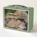 Suche nach eidechse brotdosen Reptil