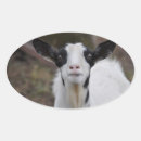 Suche nach lustige ziege aufkleber Tiere