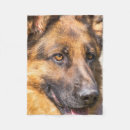 Suche nach deutscher schäferhund decken Gsd