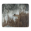 Suche nach schildkröten schneidebrettchen Natur