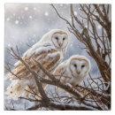 Suche nach eulen fliesen Tierwelt