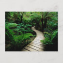 Suche nach frost postkarten Bäume