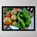 Suche nach grüne tomaten poster Essen
