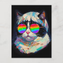 Suche nach eine coole katze postkarten Sonnenbrille