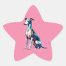 Suche nach italienischer windhund aufkleber Hunde