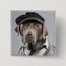 Suche nach schokolade labrador buttons Tiere