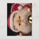 Suche nach grumpy postkarten Niedlich