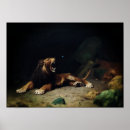 Suche nach brüllend poster Löwe