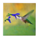 Suche nach kleiner vogel fliesen Blume
