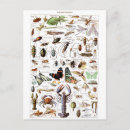 Suche nach arthropoden poster Tier