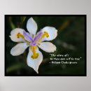 Suche nach shakespeare quotes poster William shakespeare quote