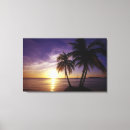 Suche nach tropische leinwandbilder Palme