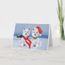 Suche nach hund im schnee karten Tiere