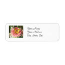 Suche nach zinnia Zinnie