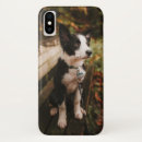 Suche nach border collie iphone hüllen Niedlich