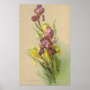Suche nach litho Viktorianisch