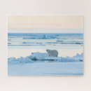 Suche nach eisberg puzzle Schnee