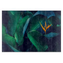 Suche nach regenwald schneidebrettchen Paradies