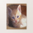 Suche nach katze lustig puzzle Liebhaber
