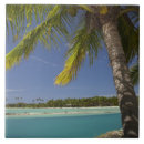 Suche nach lagune fliesen Blau