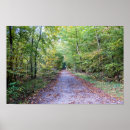 Suche nach autumn forest poster Leaf