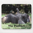 Suche nach geier mousepads Vögel