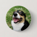 Suche nach eigentümer buttons Tier