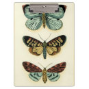 Suche nach tiere klemmbrett Schmetterling