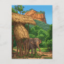 Suche nach sri lanka postkarten Tiere