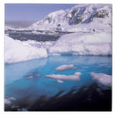 Suche nach die antarktis fliesen Dh