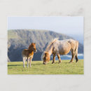 Suche nach shetlandpony postkarten Bauernhof