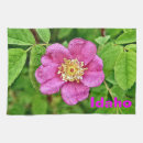 Suche nach malerei geschirr tücher Grün