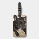 Suche nach french gepäckanhänger Lustig