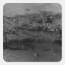 Suche nach kap verde aufkleber Landschaft