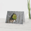 Suche nach zaun karten Holz