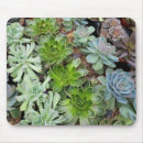 Suche nach pflanze mousepads Sukkulent